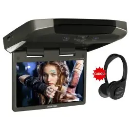 Ieftin Alpine TMX-310U