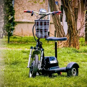 ARIPA ROATA FATA TRICICLU MIC SECOND HAND Cumpără acum