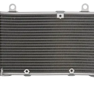Vezi acum Radiator pentru HONDA CBF 1000 2006-2010